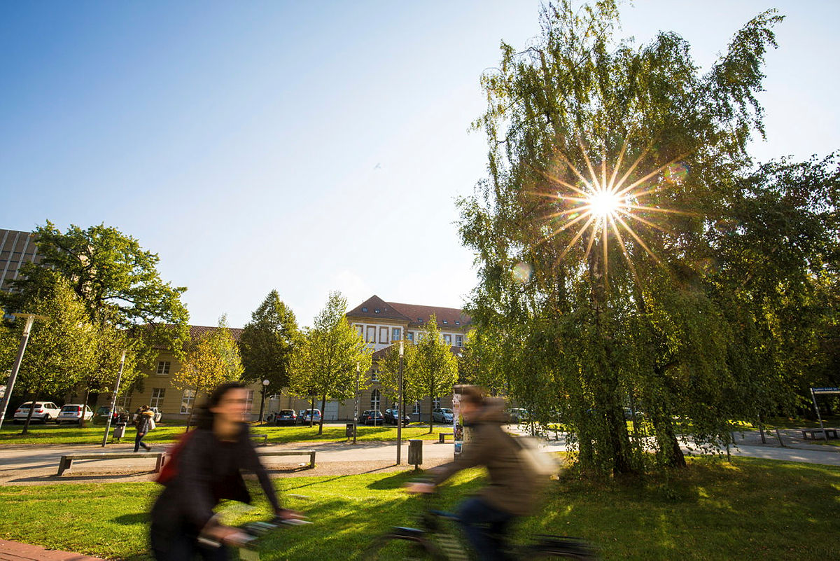Studierende fahren mit Fahrrädern über den Campus in der Nachmittagssonne
